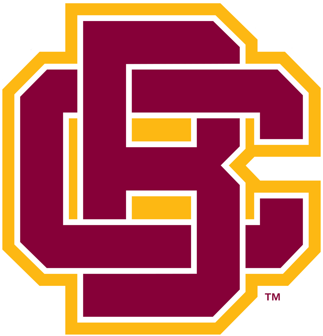 Bethune-Cookman Wildcats 2016-Pres Primary Logo diy iron on heat transfer